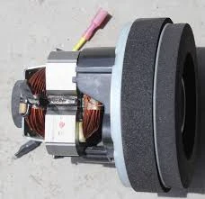 Riccar Brilliance Clean Air Motor [D486-2100]